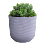 jazz rund mini 11cm lavendel lila